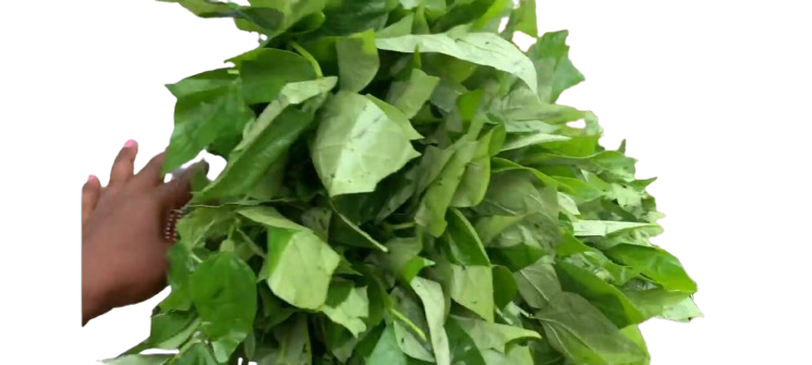 Ggobe_0