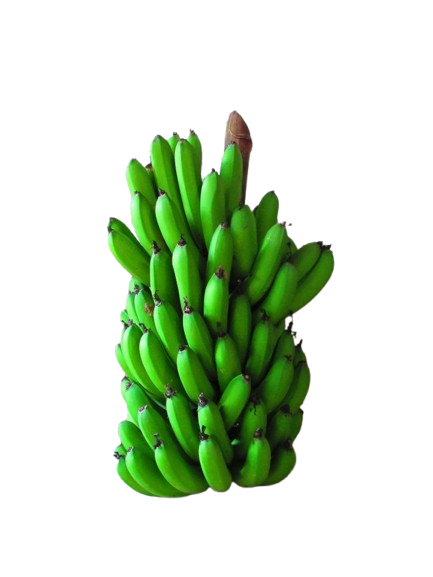 Matooke (Green Bananas)_3