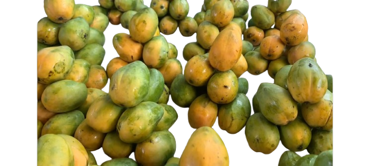 Local Mangoes_0