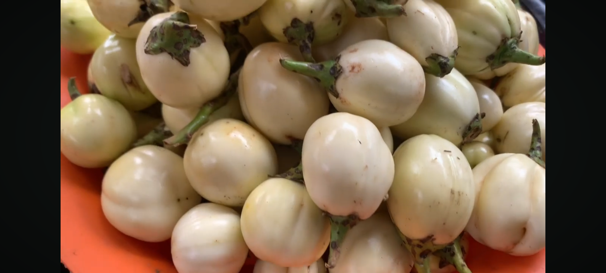 White Entula (White African Garden Eggs)_0