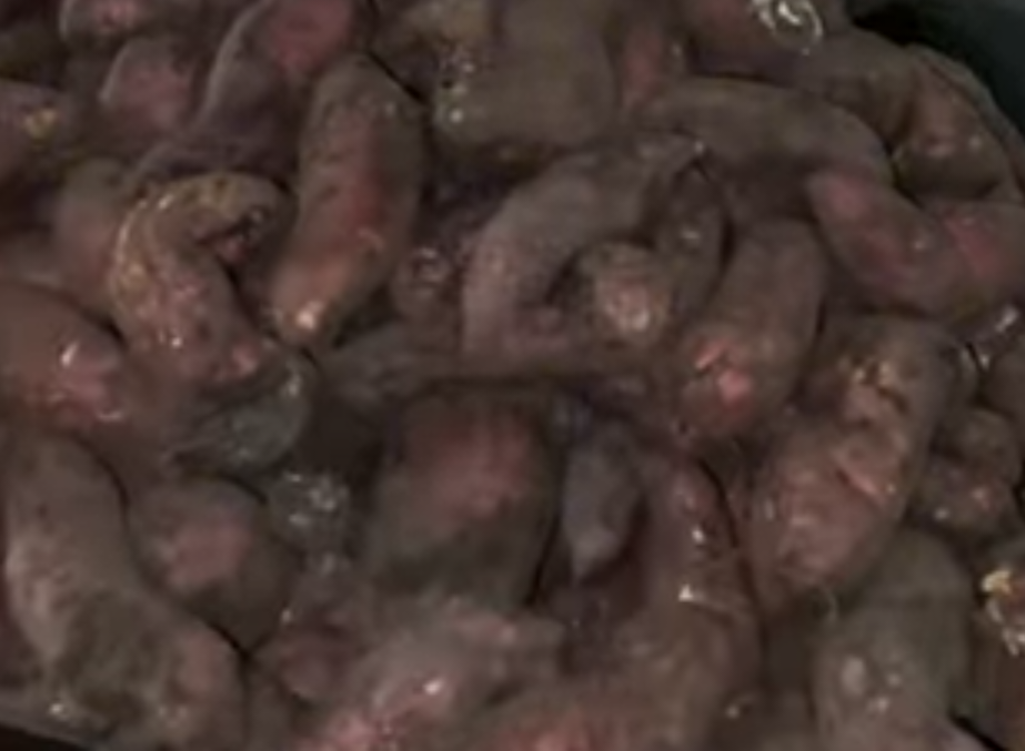 Sweet Potatoes_1