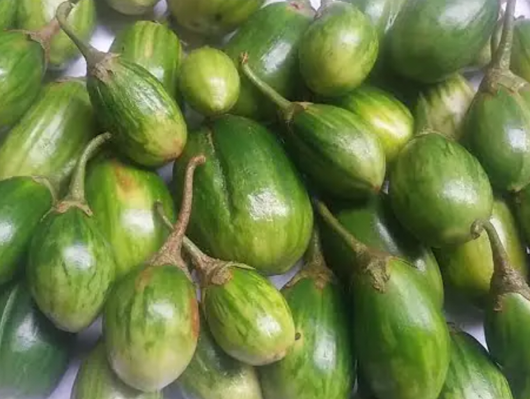 Green Entula(Green African Garden Eggs/ Bitter tomatoes)_0