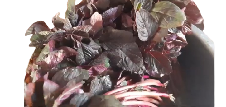 Ebuga (Amaranth Leaves)_0