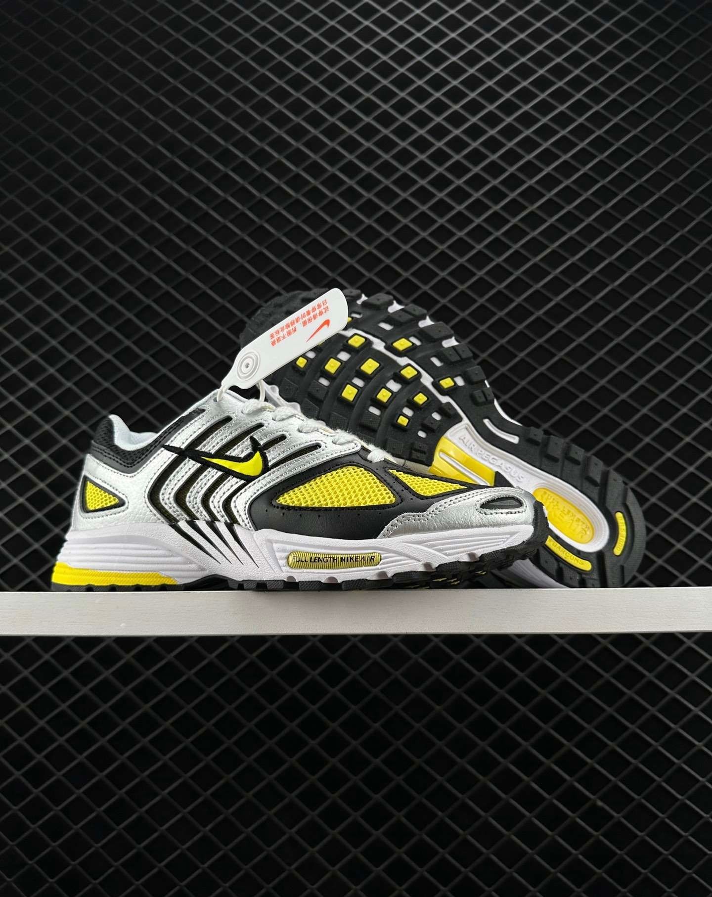 NIKE AIR PEGASUS 2005_1