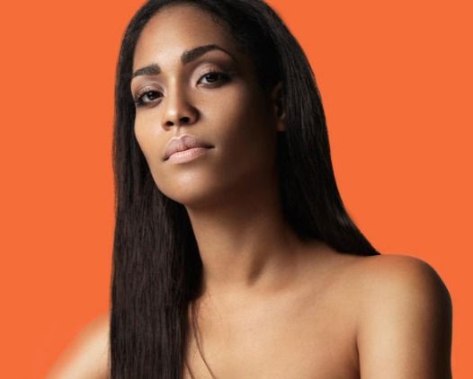 Extension Cheveux Adhésives  Raides _1