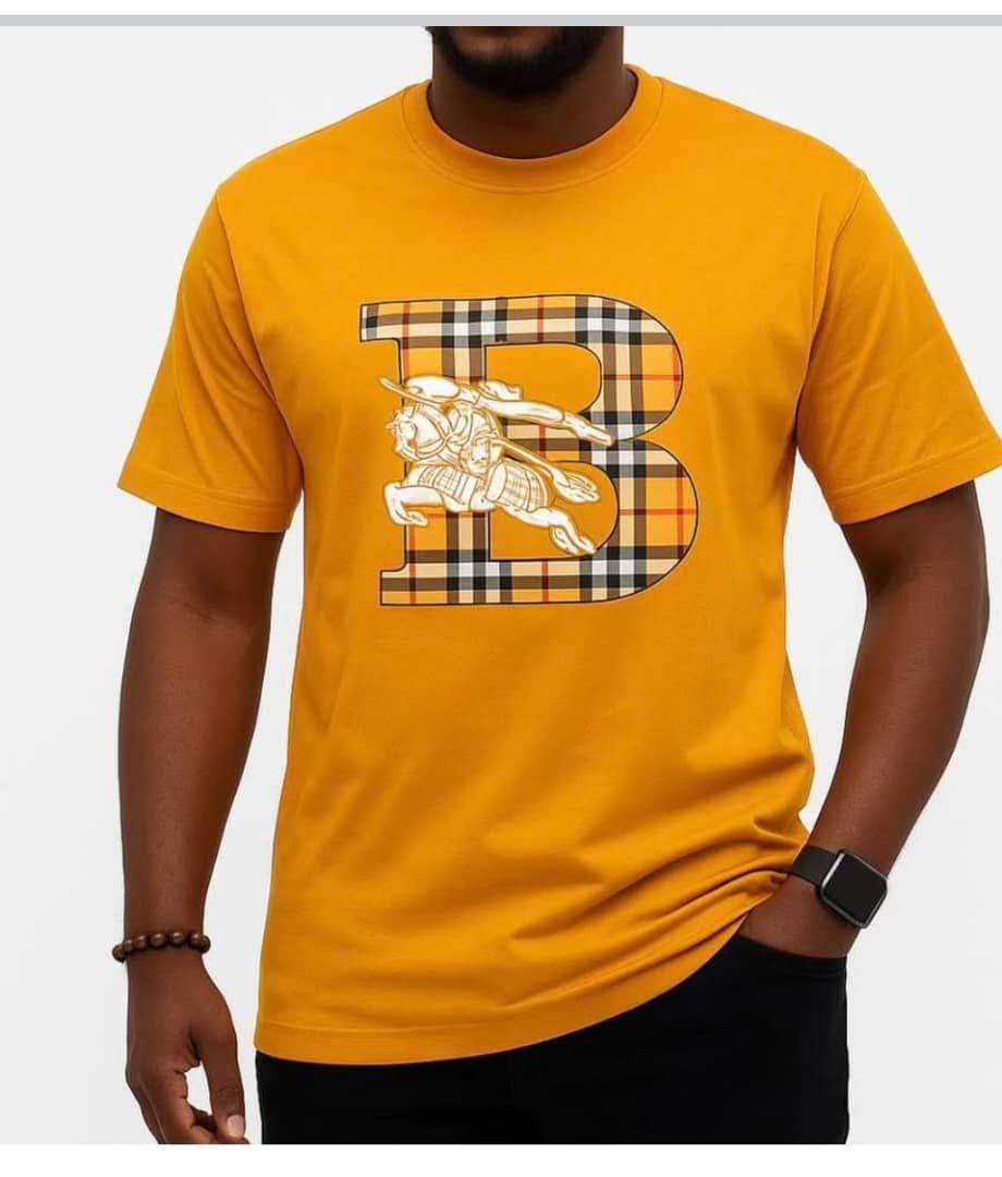 Tee-Shirts Homme Excellente Qualité. Prix: 13 000 FCFA  Bénéfice: 2000 FCFA/Tee-Shirt vendu_0