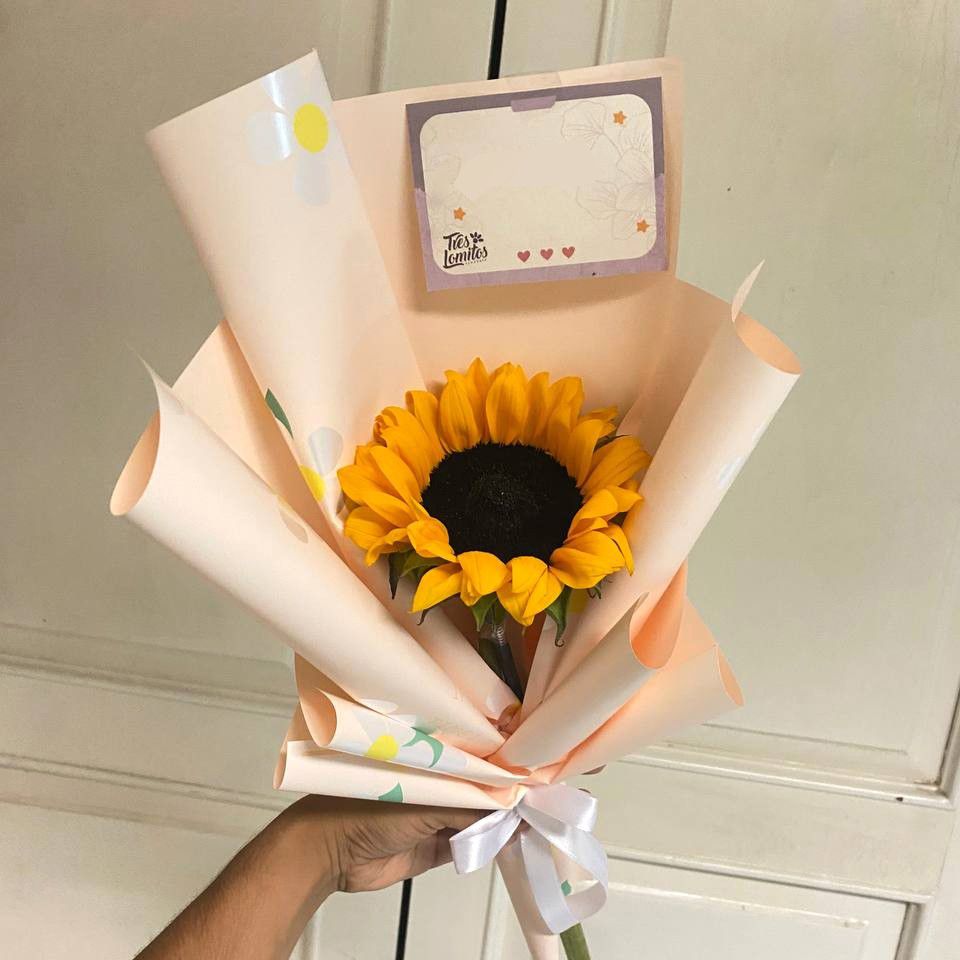 Girasol individual_0