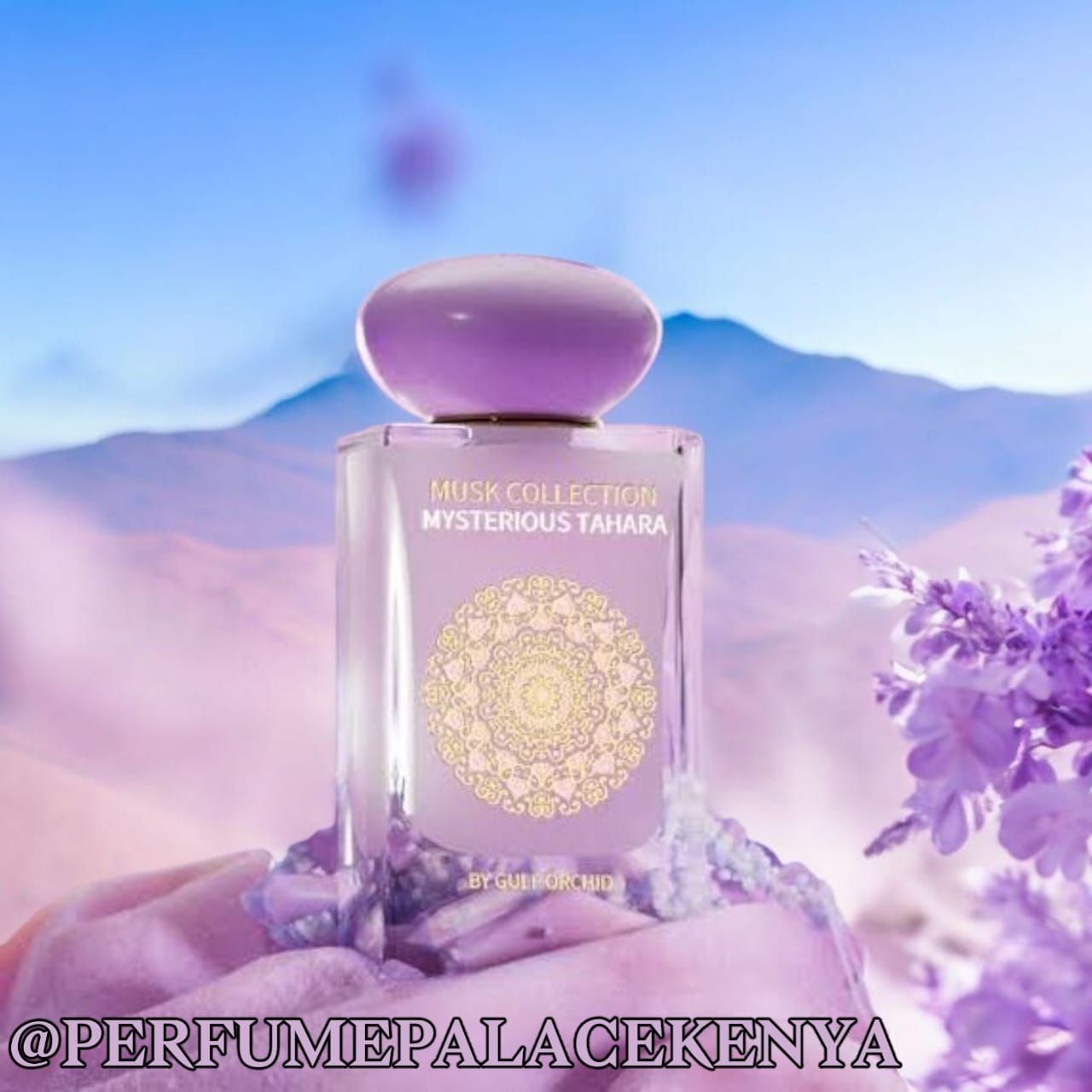 MUSK COLLECTION MYSTERIOUS TAHARA_0