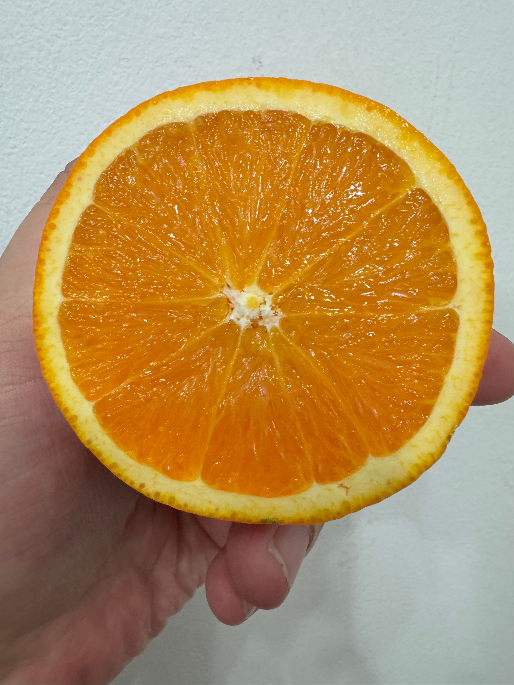 Australia Seedless Navel Orange - Big Size _0