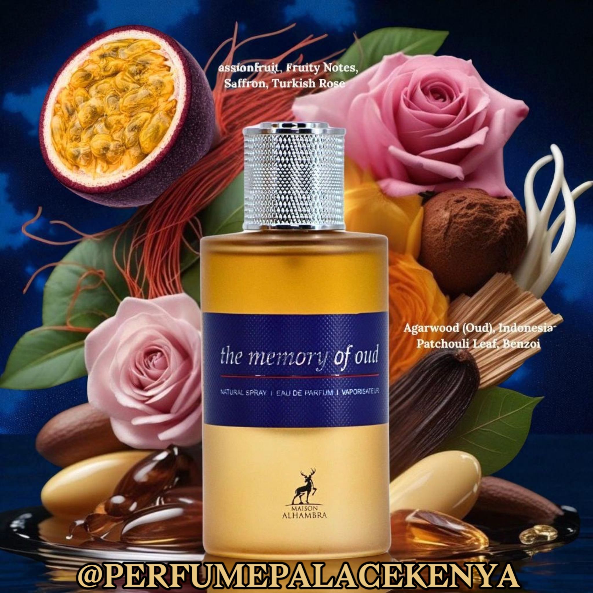 MEMORY OF OUD_0