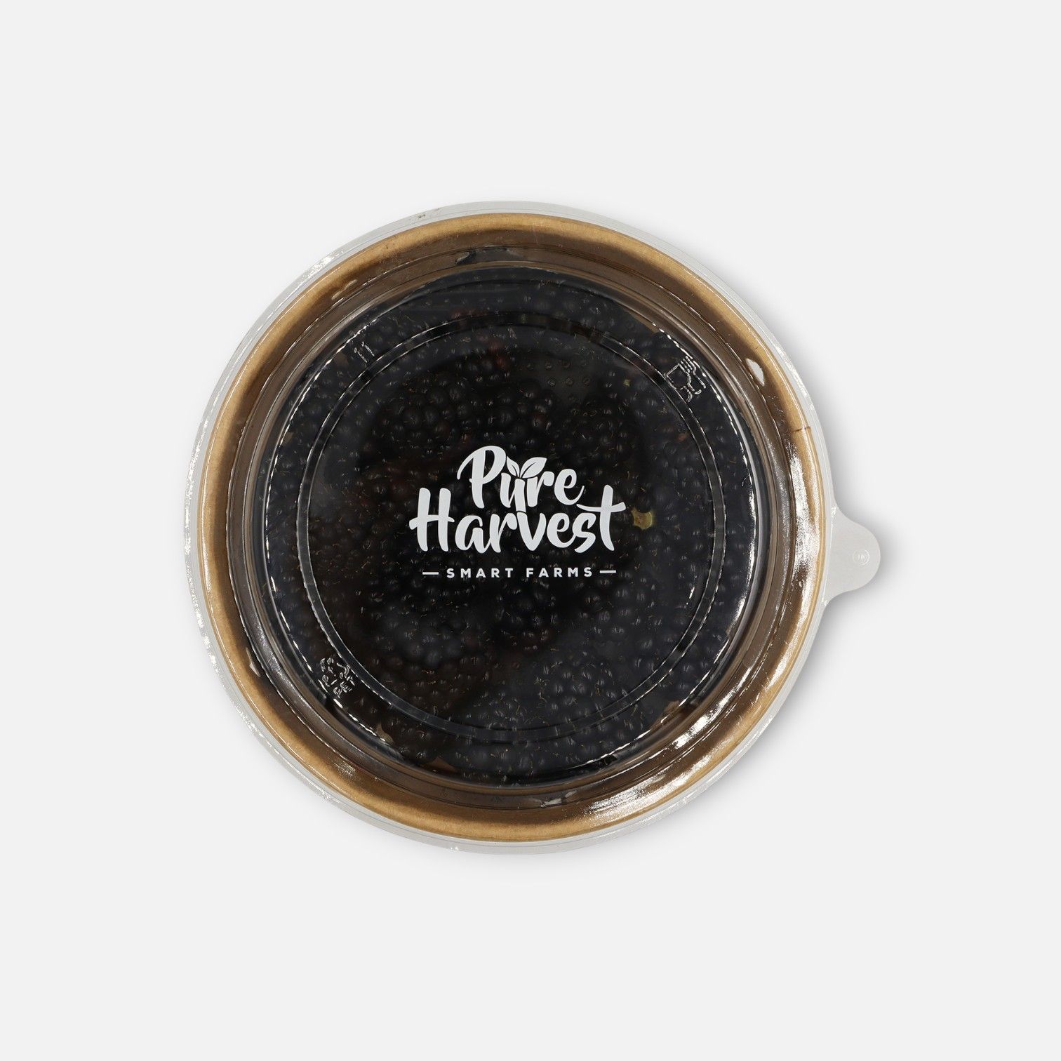 Pure Harvest Blackberries 170g_0