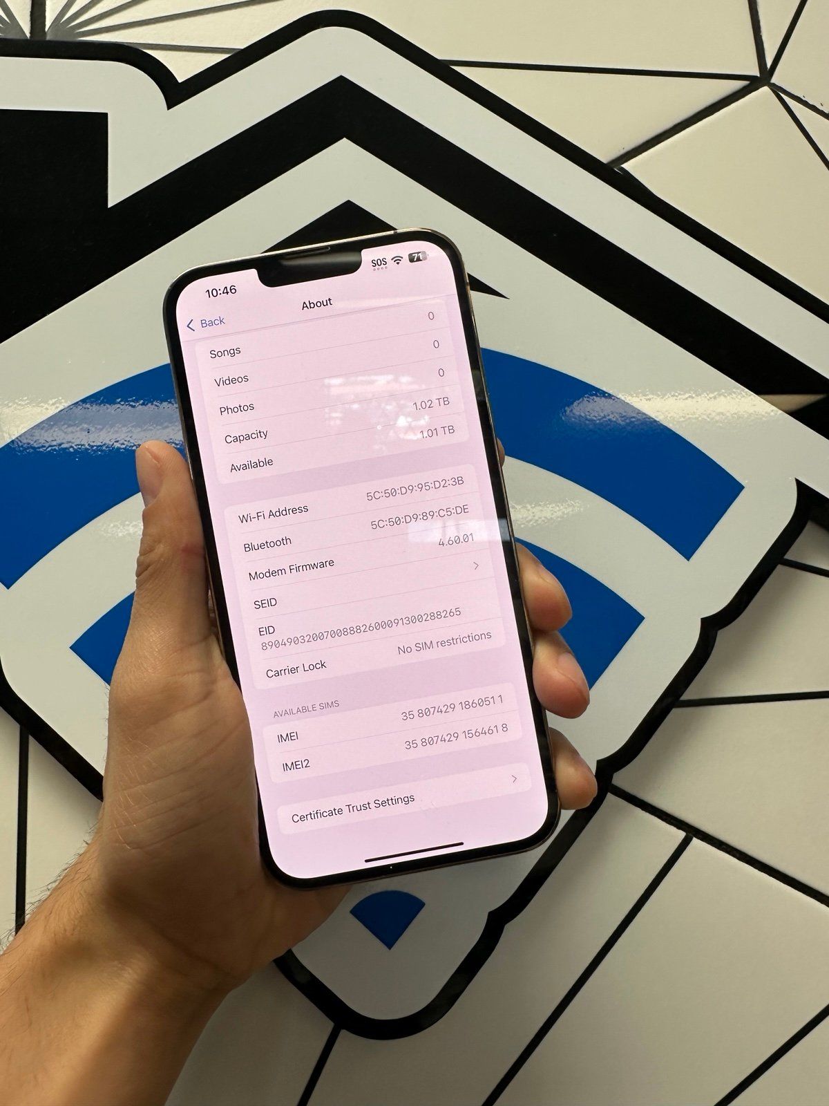 iPhone 13 Pro Max 1 TB Gold Unlocked Physical & E-Sim_3