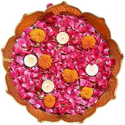 LOTUS URLI_1
