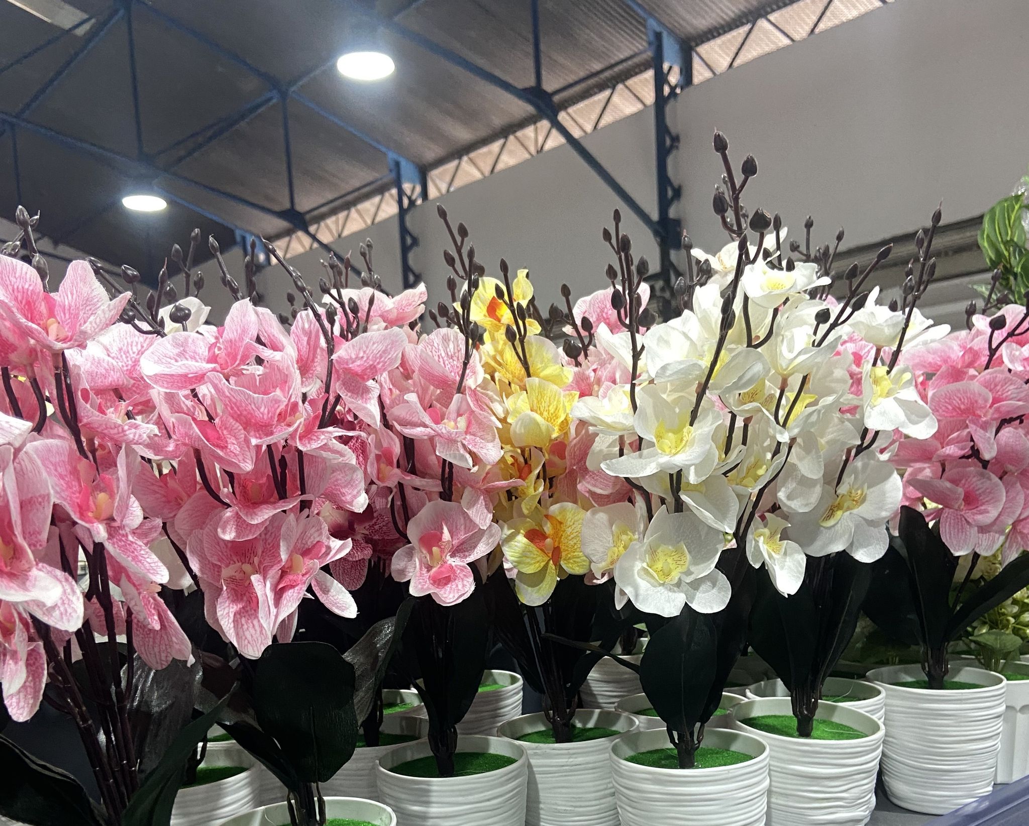 🌸 Orchidées Déco_2