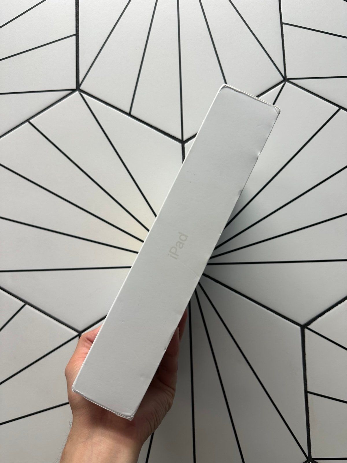 iPad 10th Gen 256GB Silver With Apple Care For A Full Year_1