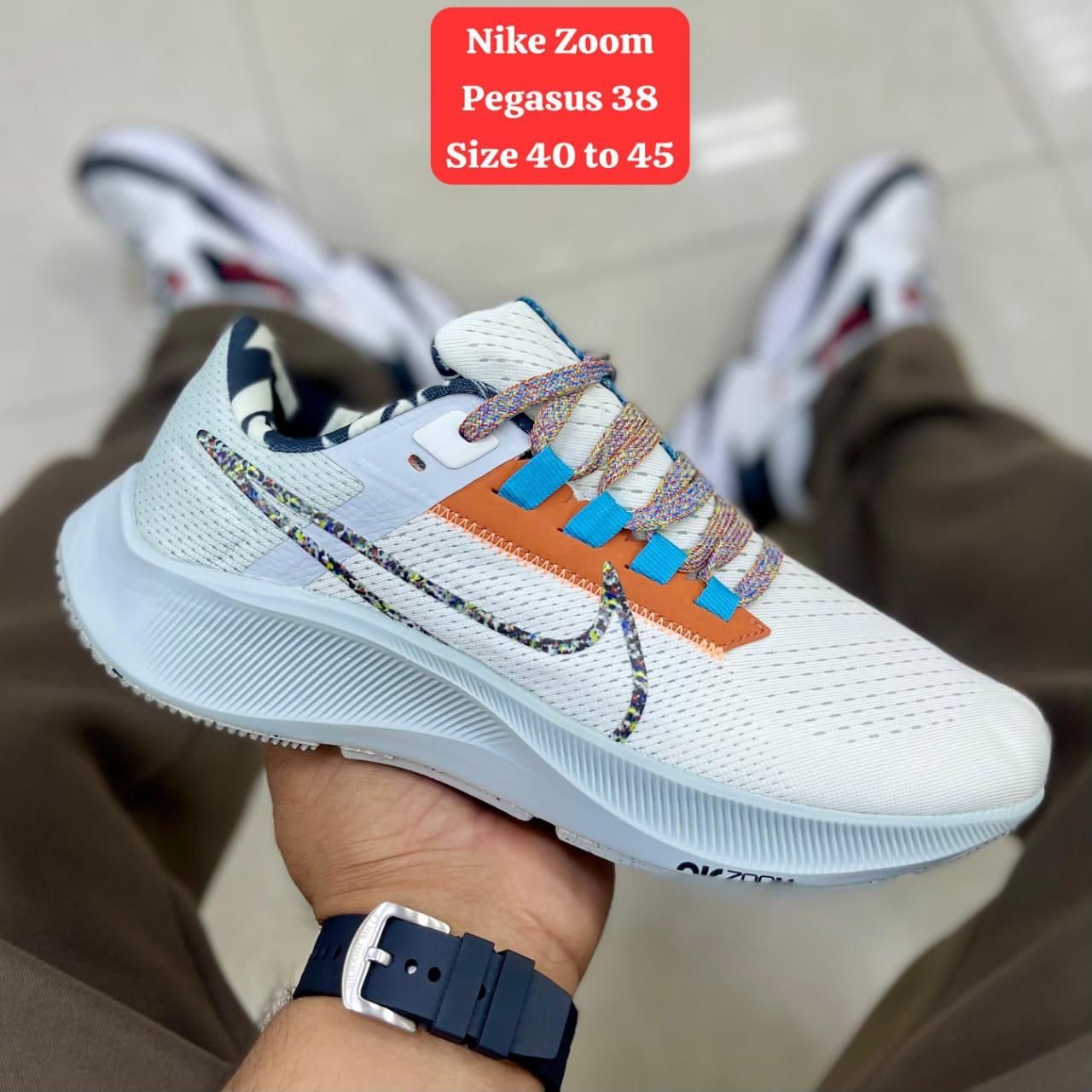 Nike Pegasus - multicolor light_0