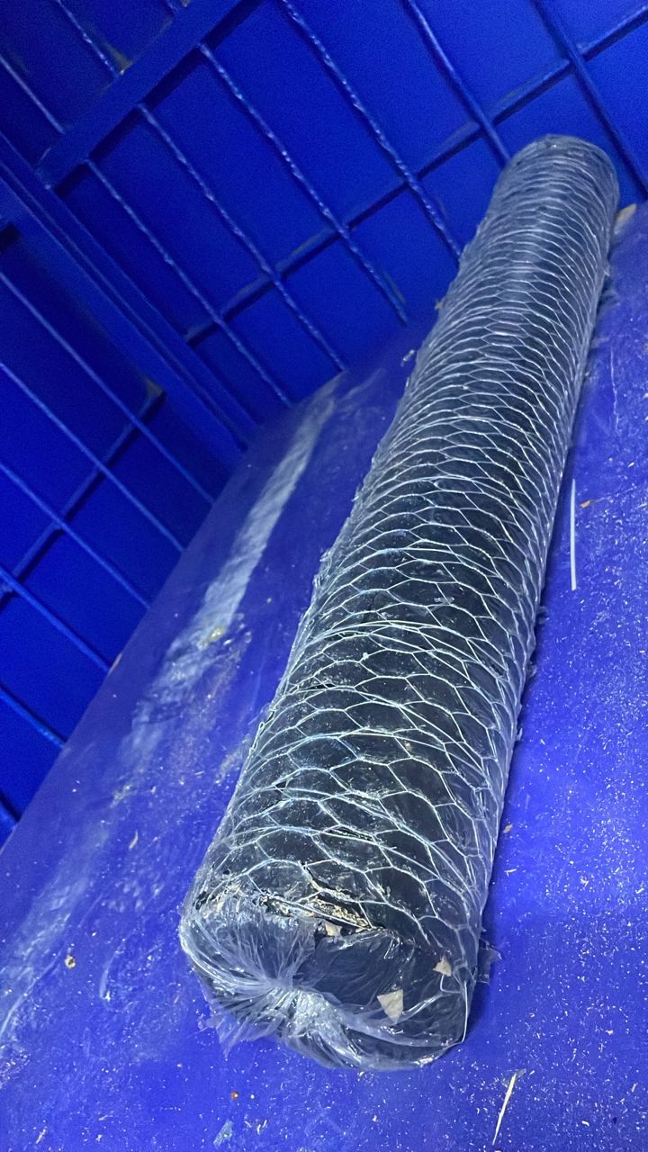 Grillage galvanisé 2 doigts_0