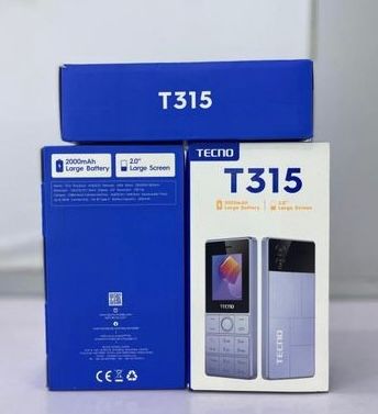 T315_1