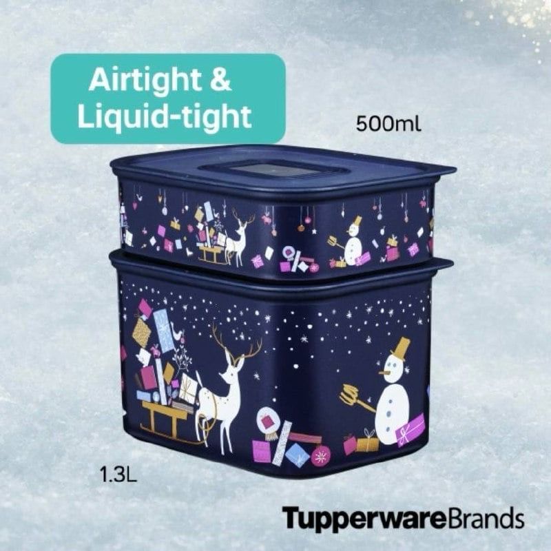 WINTER FANTASY SET _7