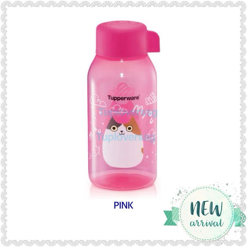 KITTY QUENCHER ECO BOTTLE 350ml _1