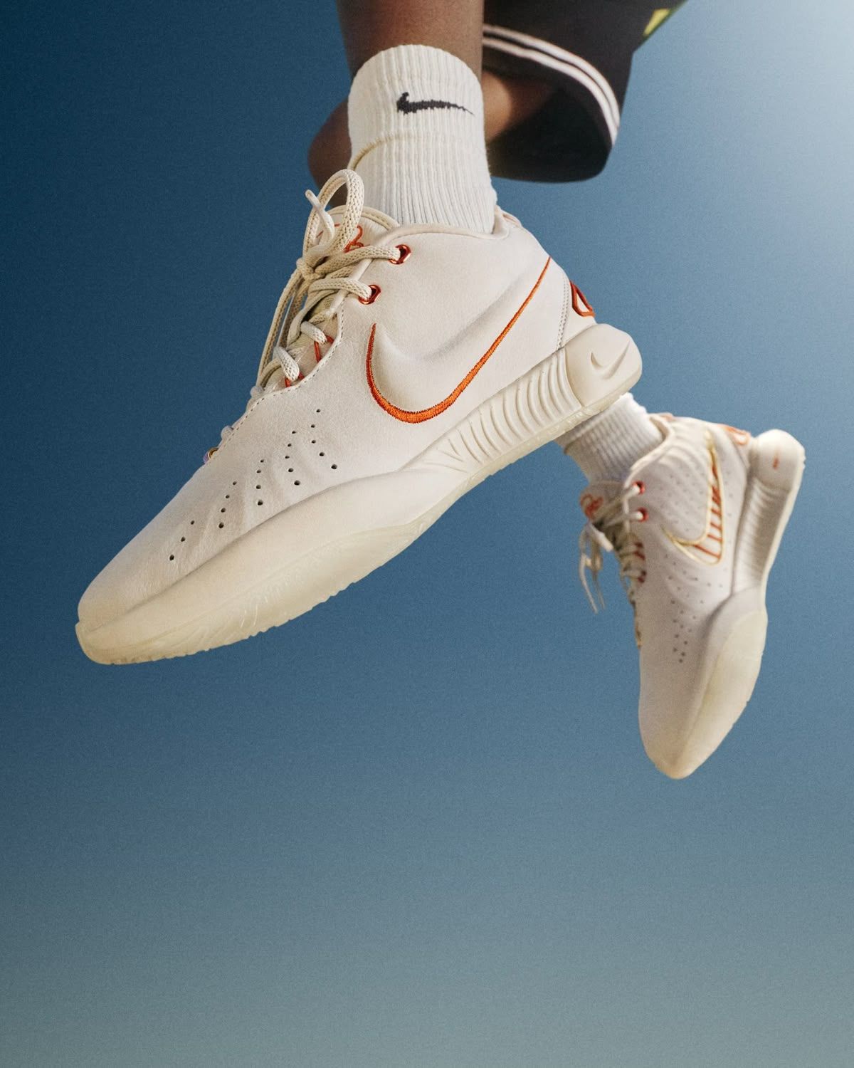 N LEBRON JAMES 21 - AKOYA - BASKETBALL SHOES_1