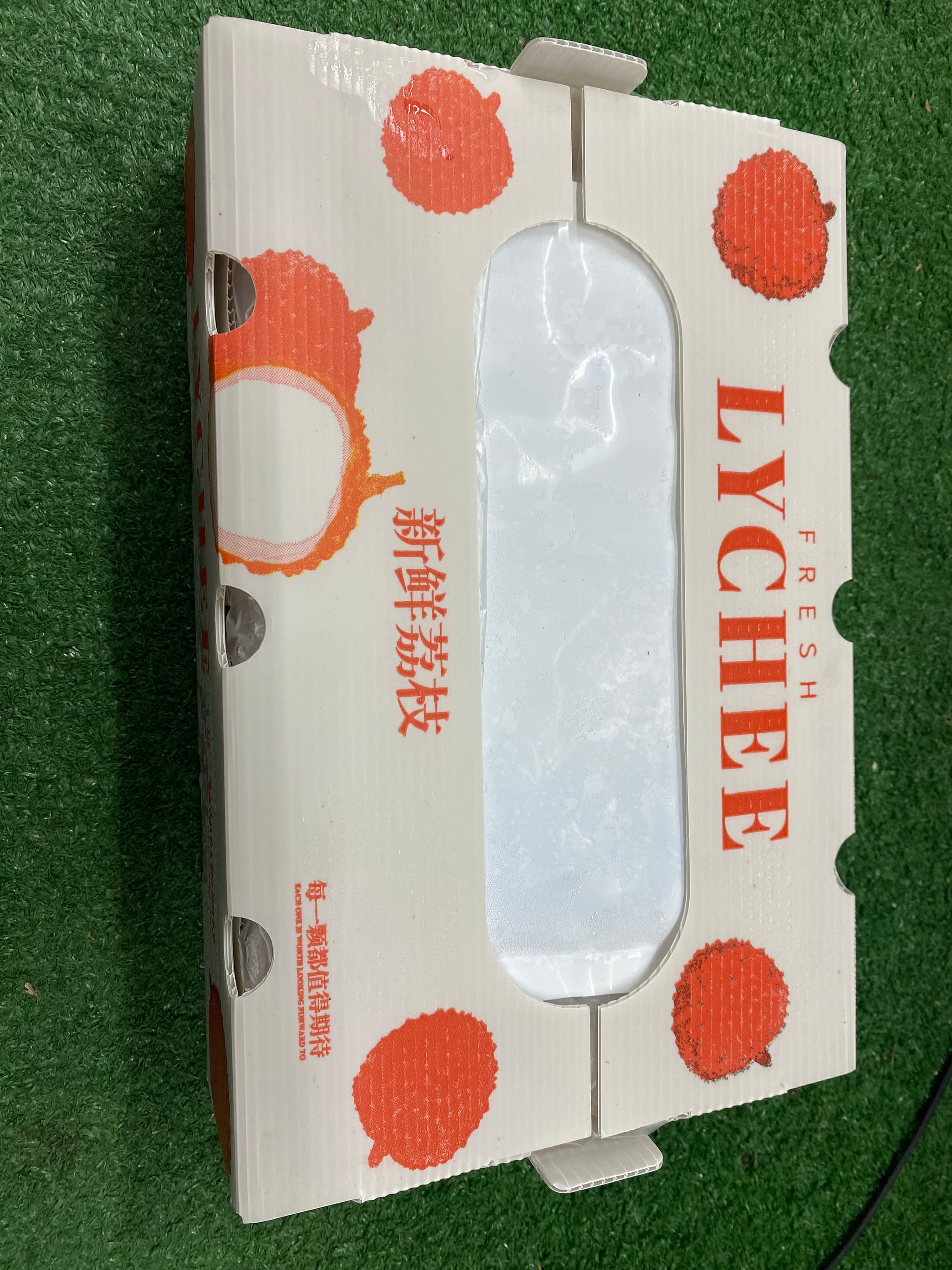 China Nuo Mi King Lychee (糯米王）_2
