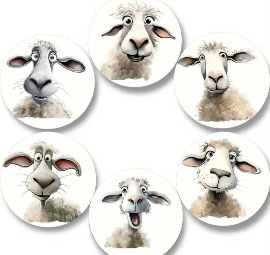 12 Piece Coffee Combo_9