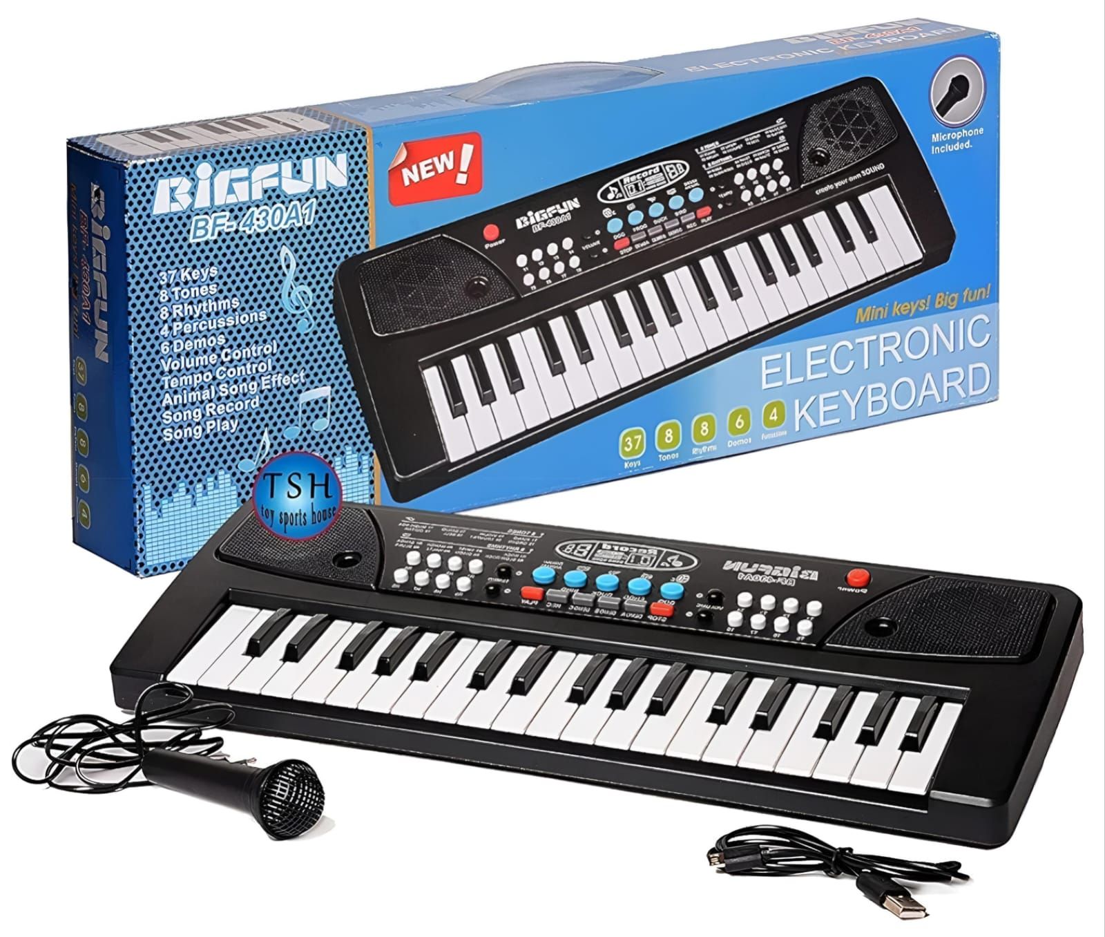 BigFun Electronic Keyboard_0