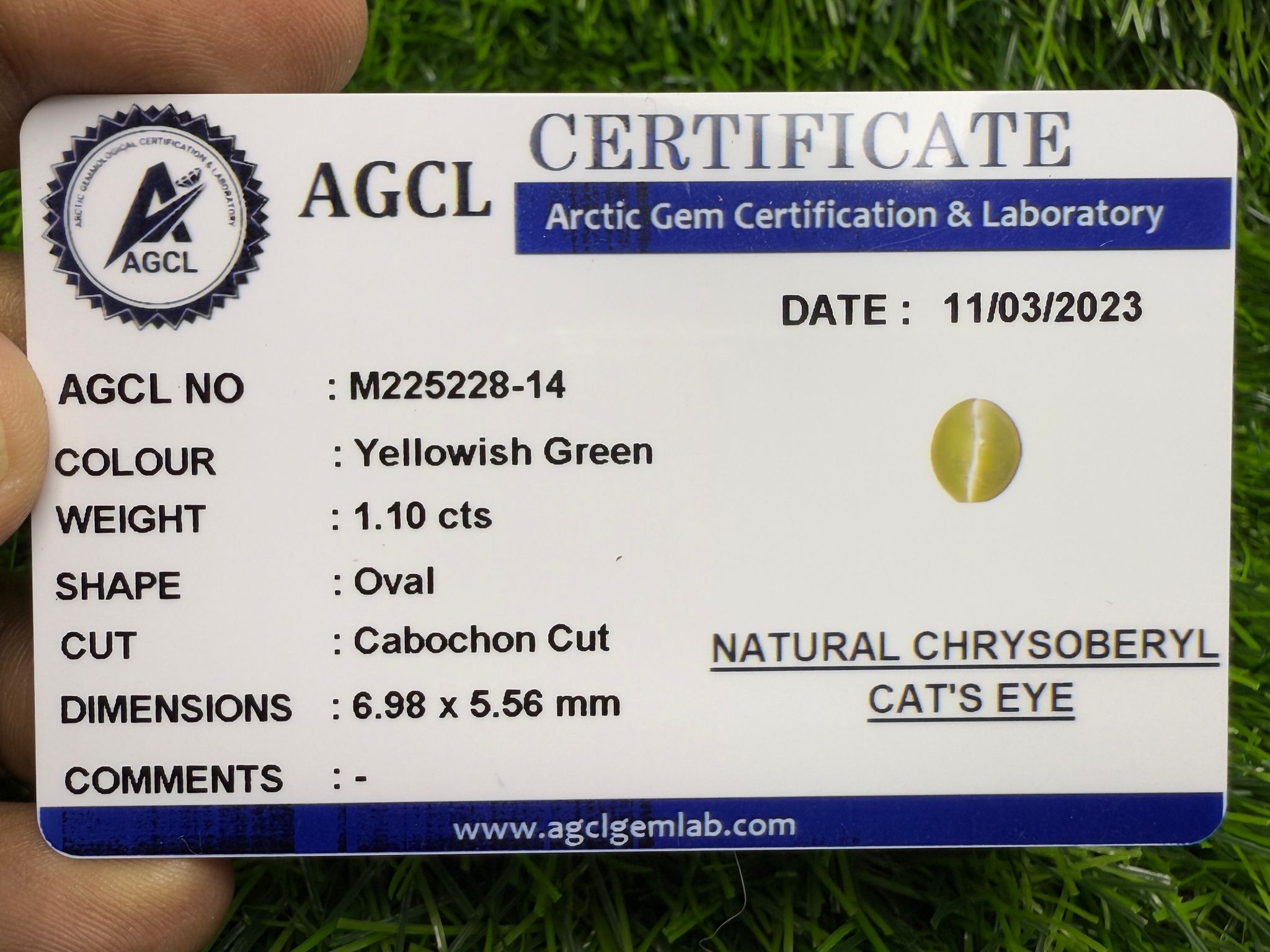 AGCL certified 1.1ct Natural Chrysoberyl cats eye_2