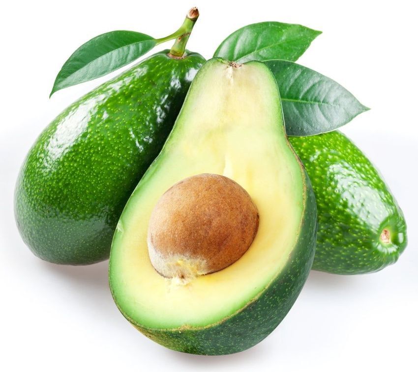 Three Avocado Varieties / Tres Variedades de Aguacate_6
