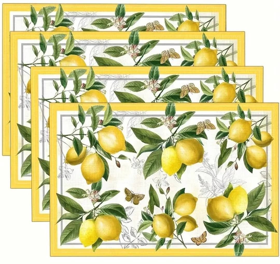 4 Piece Table Placemats Set_11