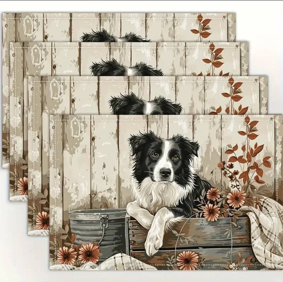 4 Piece Table Placemats Set_7