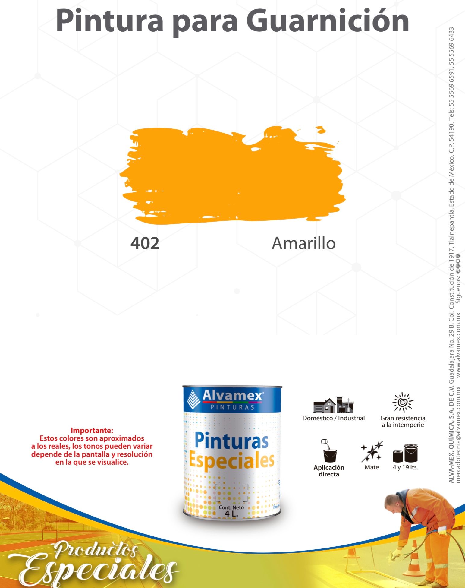 Pintura de guarnición TF402 Pinturama 19 Lt_1