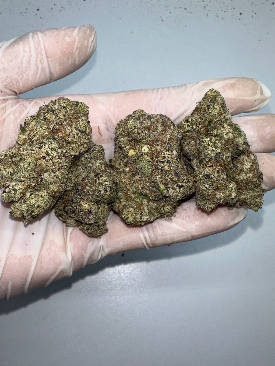 🇺🇸 Californian Top-Shelf Cannabis – Forbidden Fruit (Cherry Pie x Tangie)_1