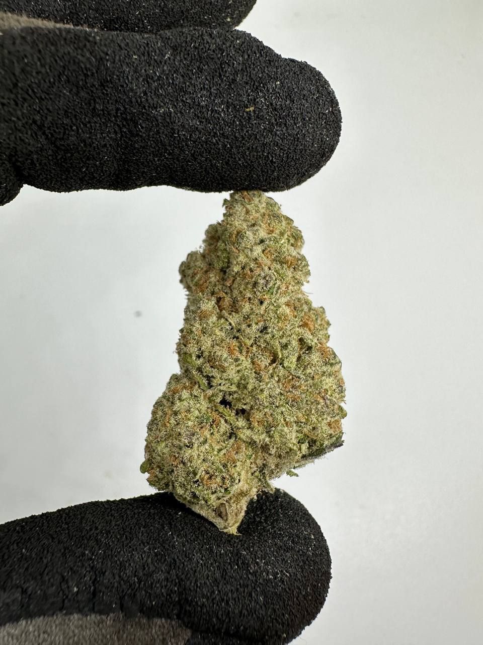 🇺🇸🇳🇱 Dutch Cali – White Truffle (95 Dead x Platinum Kush Mints)_2