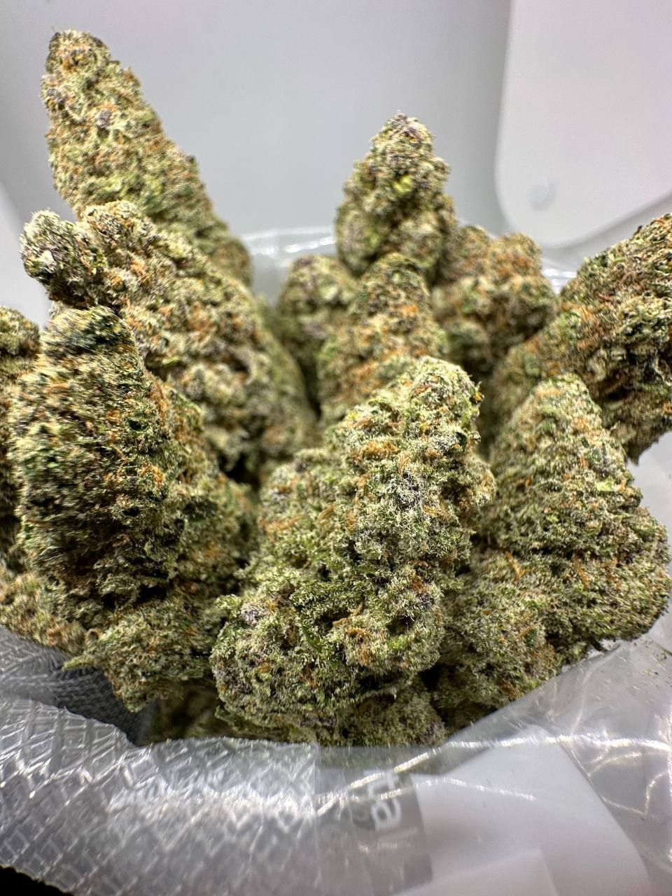 🇺🇸🇳🇱 Dutch Cali – White Truffle (95 Dead x Platinum Kush Mints)_3