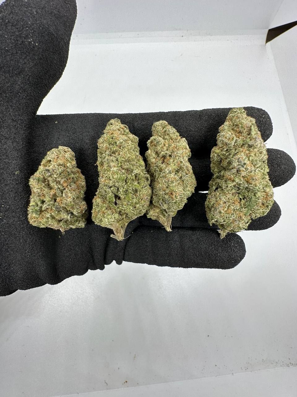 🇺🇸🇳🇱 Dutch Cali – White Truffle (95 Dead x Platinum Kush Mints)_1