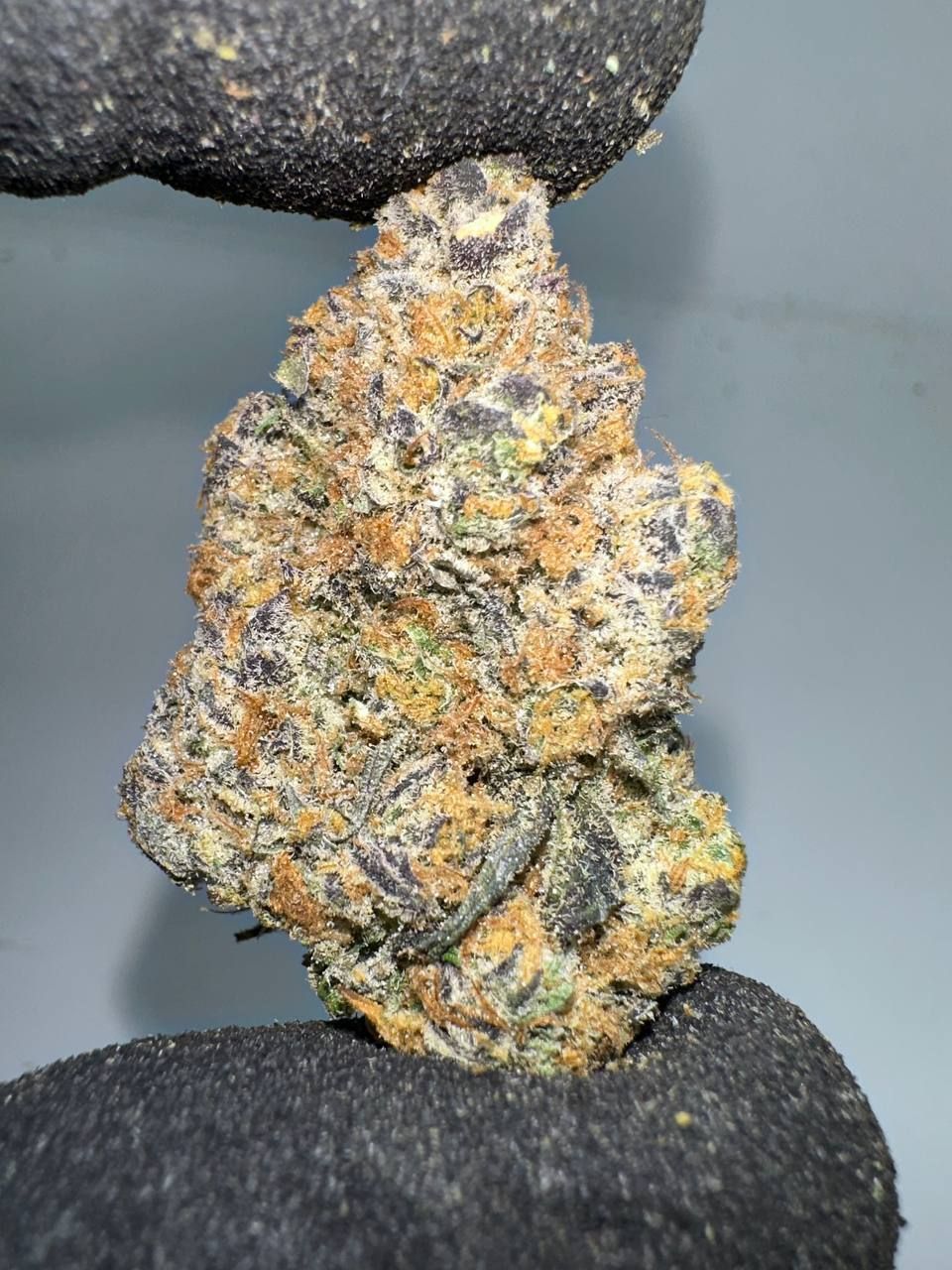 🇺🇸🇳🇱 Dutch Cali – Wedding Cake (Cherry Pie x Girl Scout Cookies)_3