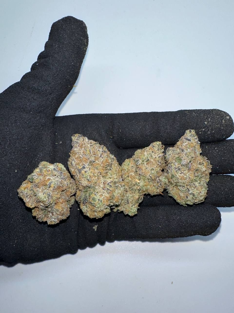 🇺🇸🇳🇱 Dutch Cali – Wedding Cake (Cherry Pie x Girl Scout Cookies)_2