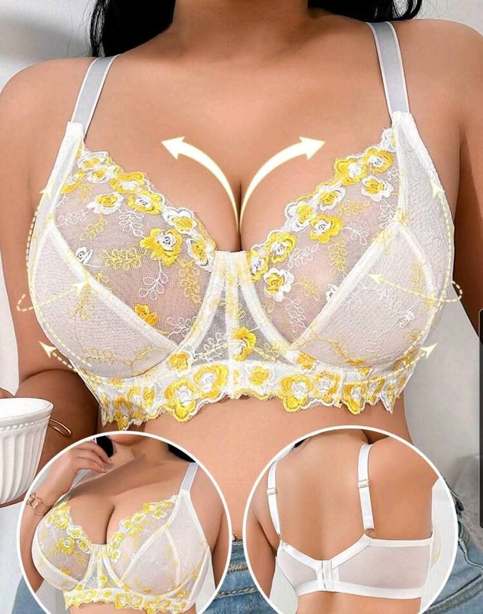 Ladies Plus Size Bra's_8