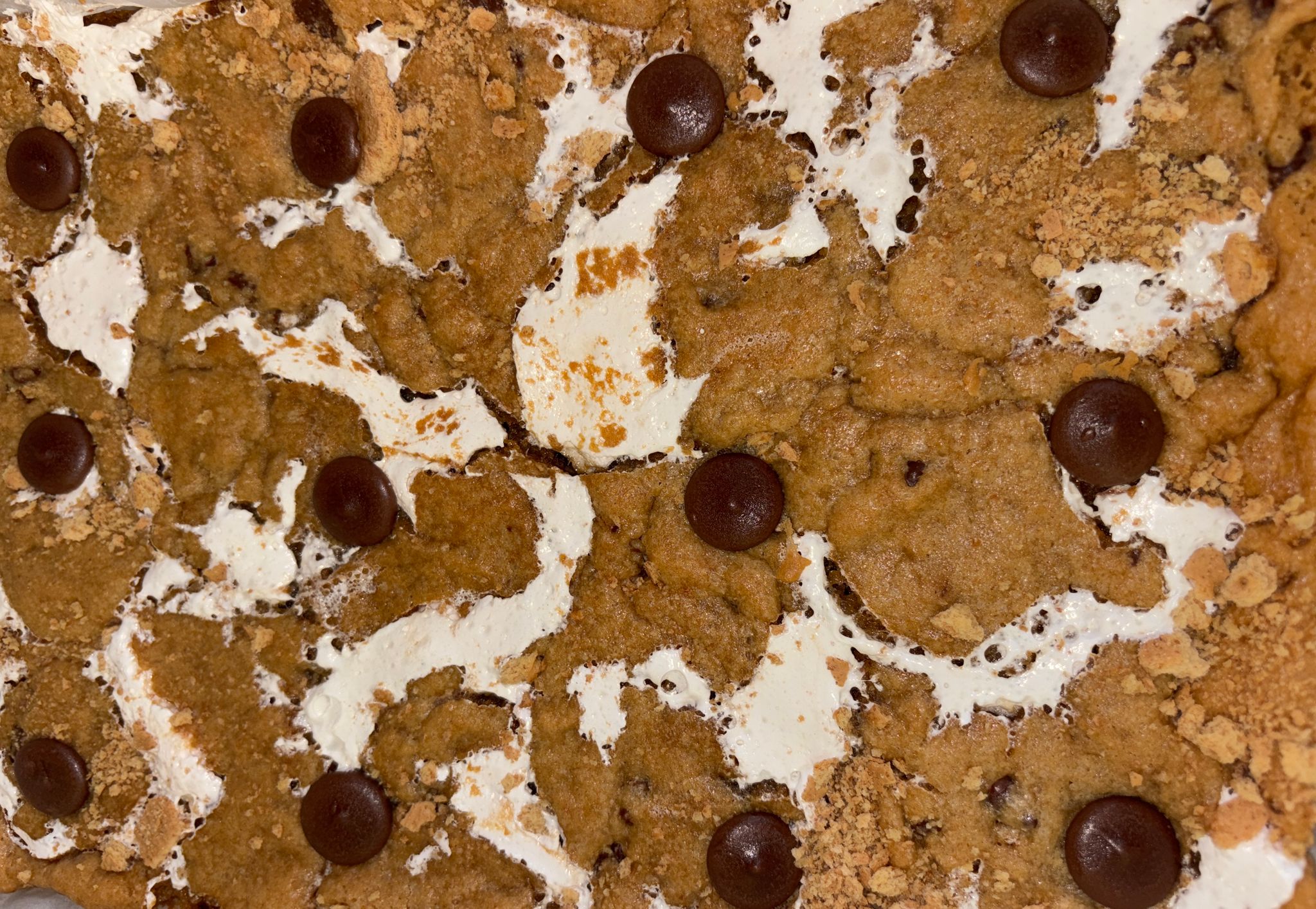 The Entire 9x13 Cookie Bar Pan_2