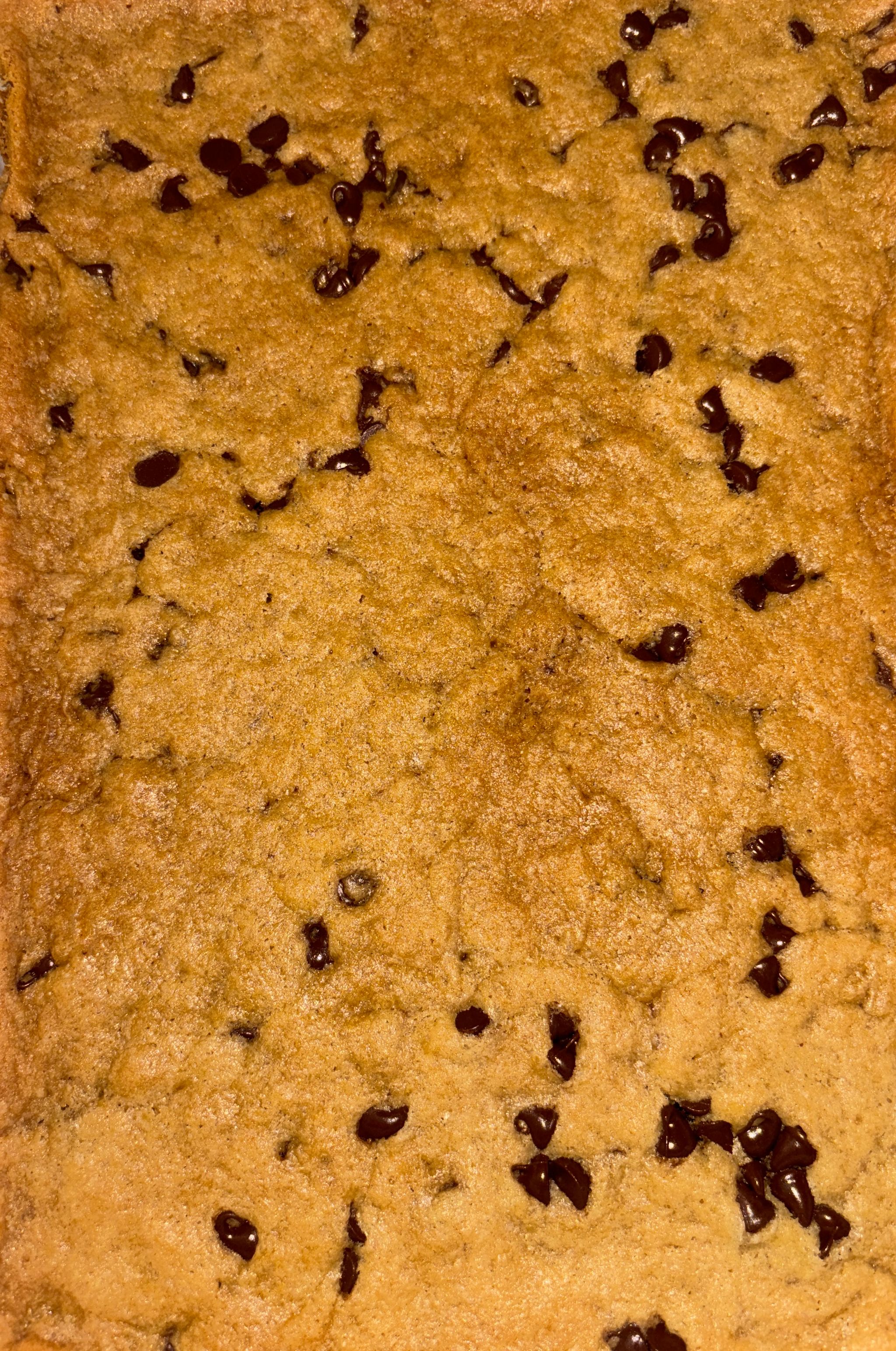 The Entire 9x13 Cookie Bar Pan_4