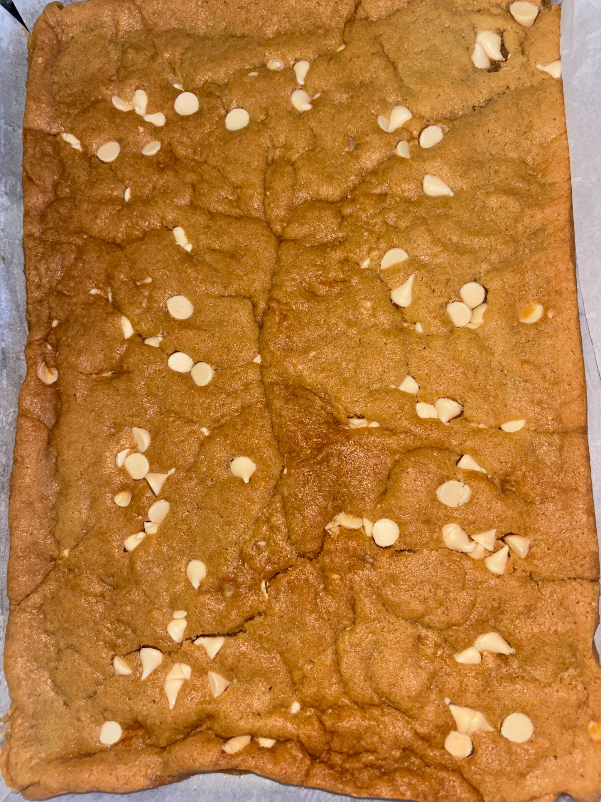 The Entire 9x13 Cookie Bar Pan_3