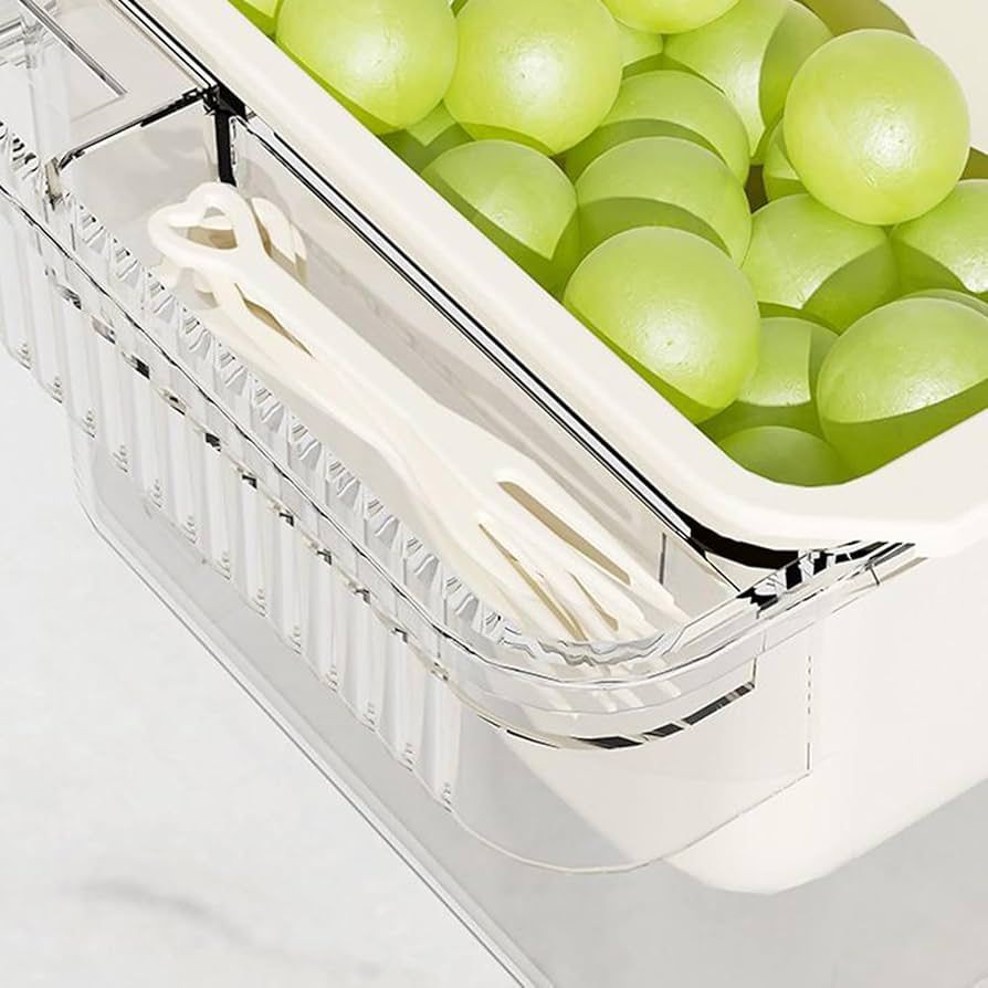 Multi-Purpose 5 Compartment Storage_5