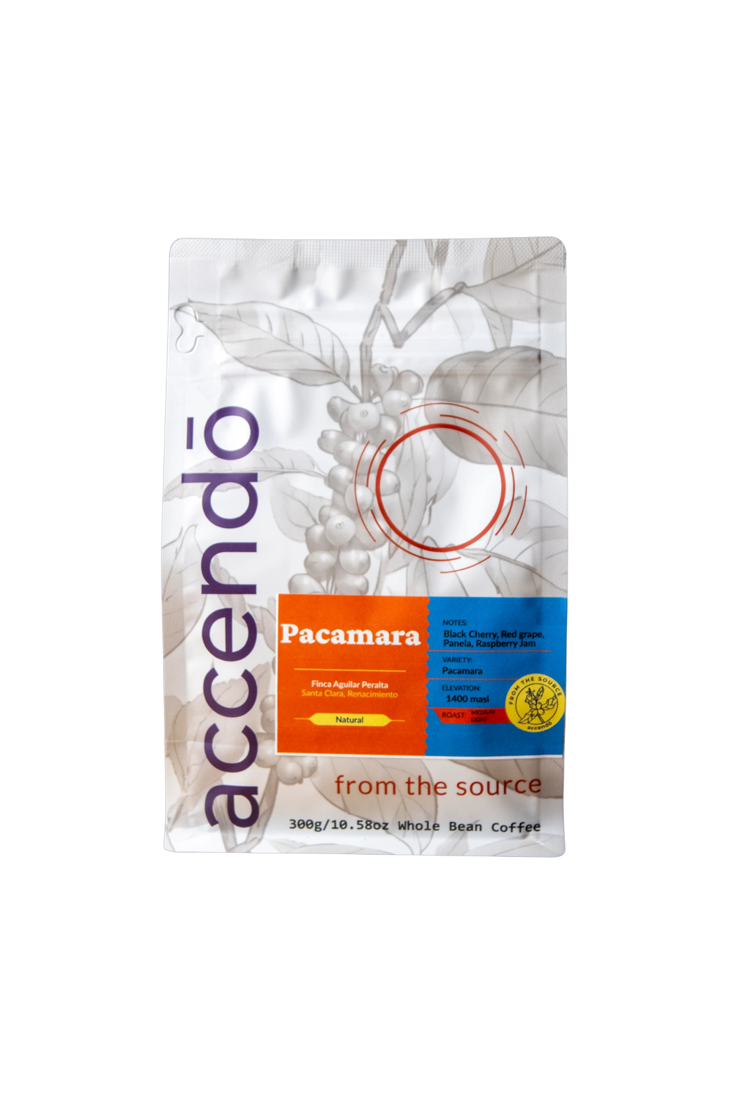 (Limited) Pacamara Aguilar Peralta 300g / Pacamara Aguilar Peralta 300g_0