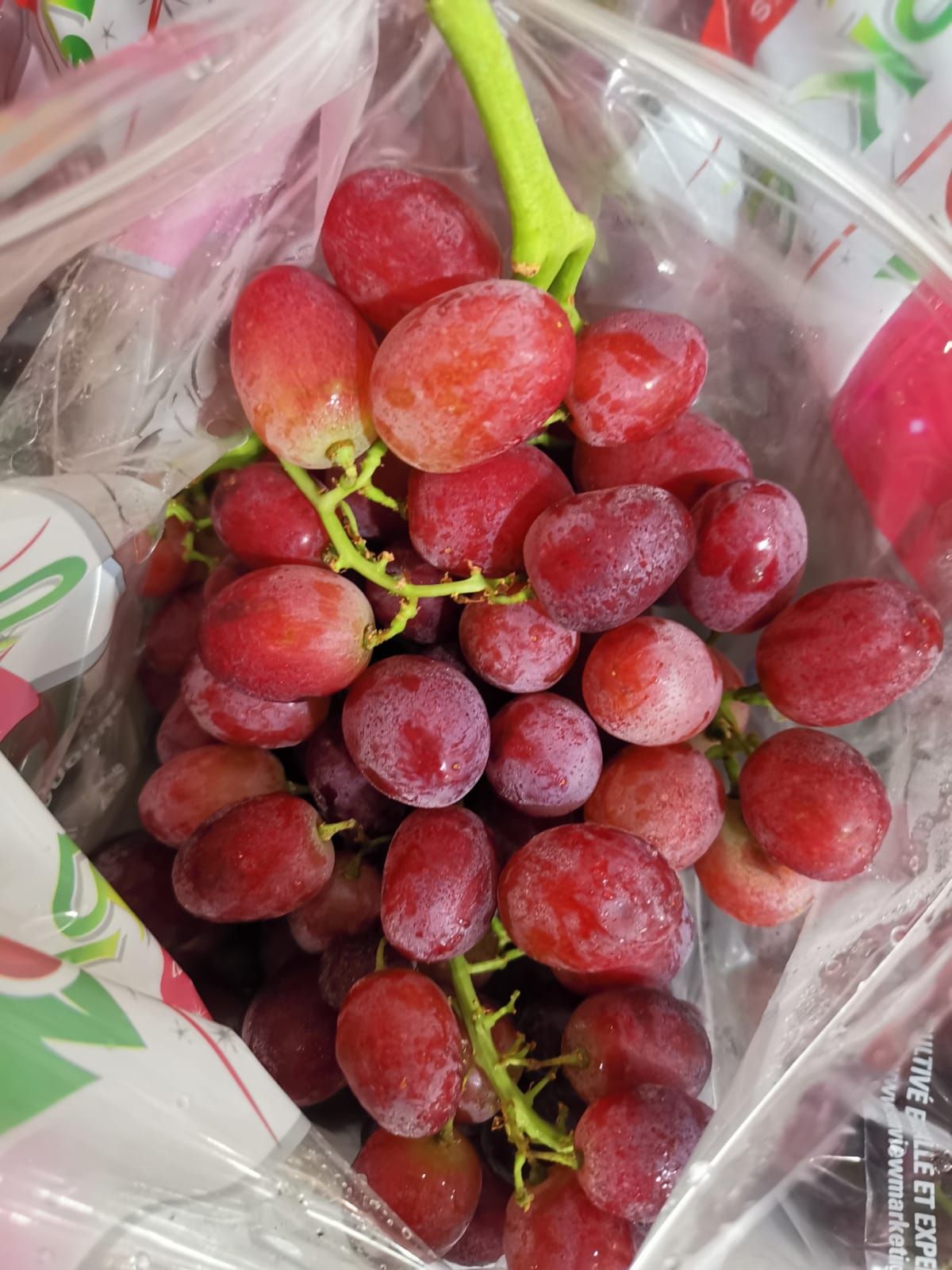 USA Sparkle Red Grapes_0