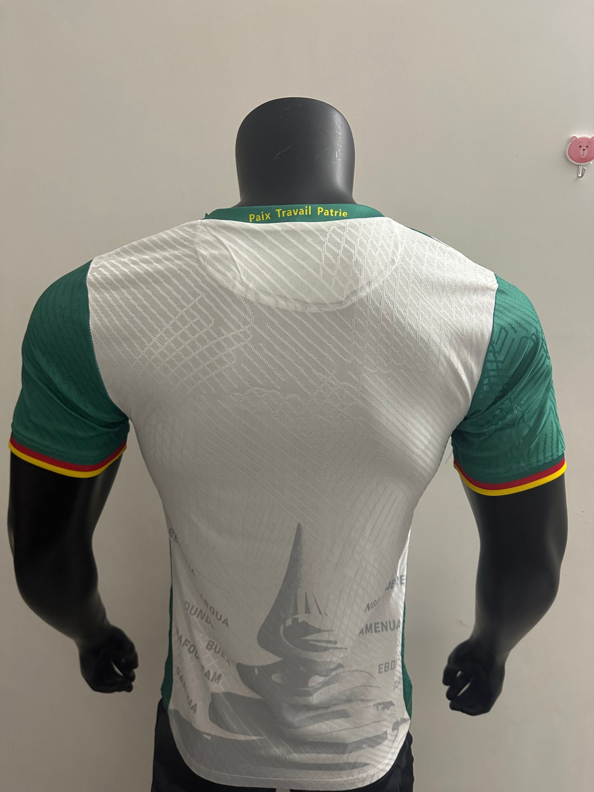 Cameroon latest short sleeve jersey _1