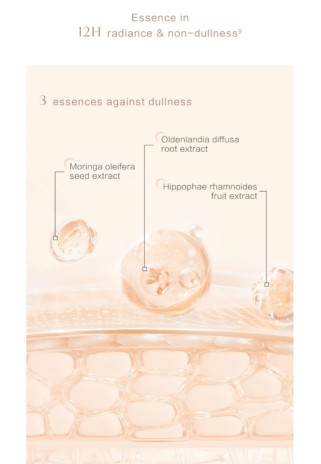 MAGELINE SOFT FOCUS FOUNDATION SPF38_11