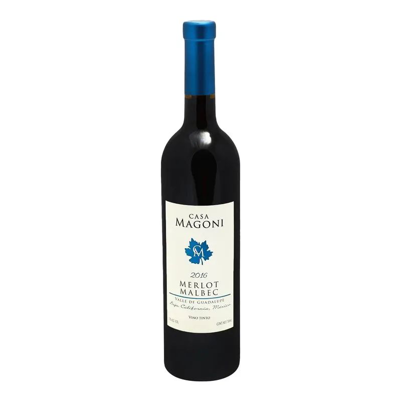 Vino Merlot 2013 Casa Magoni 750.0 mL_0