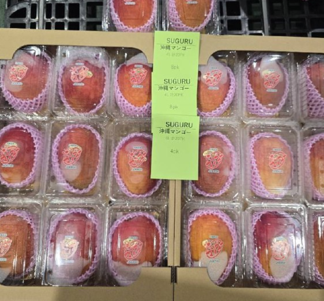 (HUGE, SWEET) Okinawa Mango (沖縄マンゴー) (4L) | Okinawa Prefecture_1